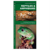 Reptiles/Amphibians