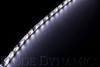 LED Strip Lights Blue 50cm Strip SMD30 WP Diode Dynamics