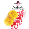 Sea Pearl Sponge Tampon Lg 2Pk