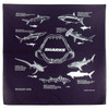 Sharks Bandana