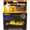 Cooler Brightz - Gold