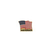 Rothco Veteran US Flag Pin