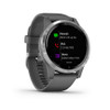 Vivoactive 4