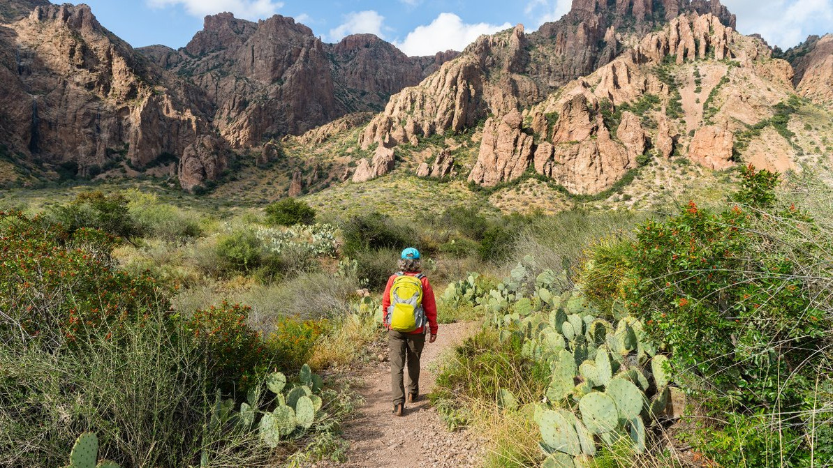 National Park Service Waived Entrance Fees