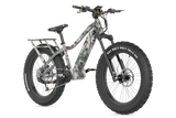 Apex E-Bike