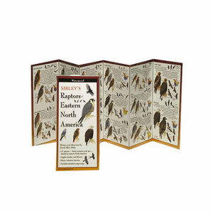 Sibley'S Raptors Of Eastern Na, made by EARTH SKY+WATER - Sibley'S Raptors Of Eastern Na, made by EARTH SKY+WATER -