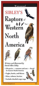 Sibley'S Raptors Of Western Na, made by EARTH SKY+WATER - Sibley'S Raptors Of Western Na, made by EARTH SKY+WATER -
