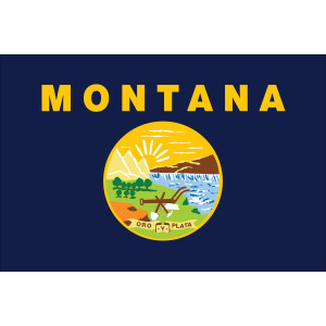 Montana State Nylon Flag, made by Flagsource - Montana State Nylon Flag, made by Flagsource -