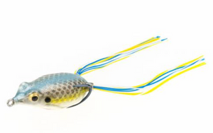 Strike King Kvd Sexy Frog Sexy Frog, made by Strike King Baits - SFKVD-154 Strike King Kvd Sexy Frog Sexy Frog, made by Strike King Baits - SFKVD-154