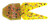 Net Bait Chunker Munker 5bg Green Pumpkin Red, made by NetBait -