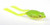 Strike King KVD Sexy Frog Natural Green Frog, made by Strike King Baits -