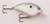 Spro Little John 50 1/2oz Nasty Shad, made by Spro -