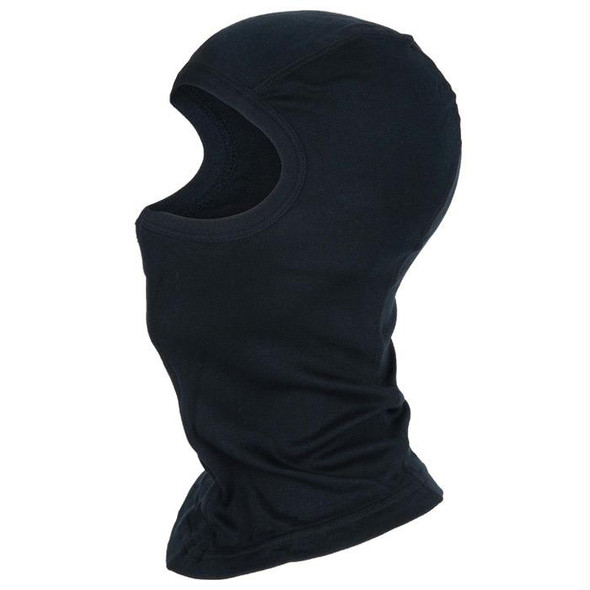 Silk Balaclava