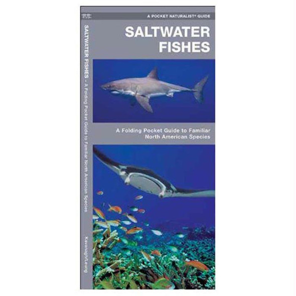 Saltwater Fishes