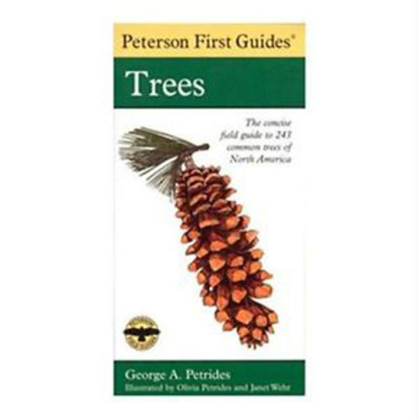 First Guide To Trees