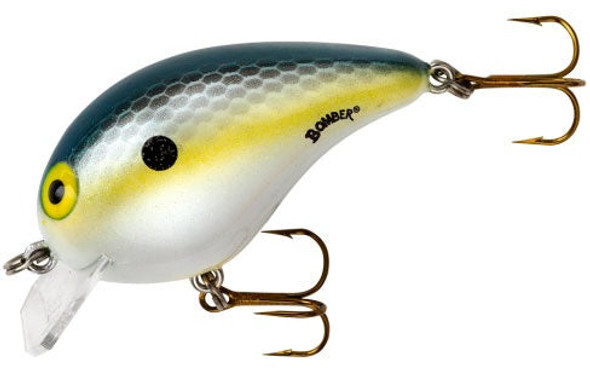 Bomber Square A 1/4 Foxy Shad