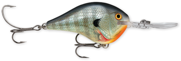 Rapala DT Series 3/4 Blue Gill