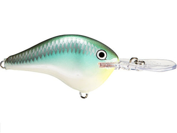 Rapala DT Series 16' Ike-Blue Back Herring