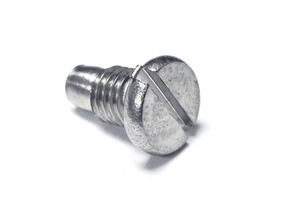 Magnetic Drain Screw