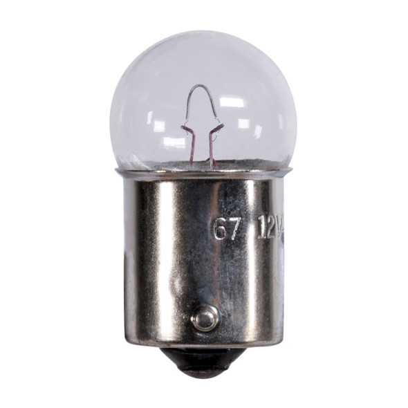 Bulb   #67 Box/10