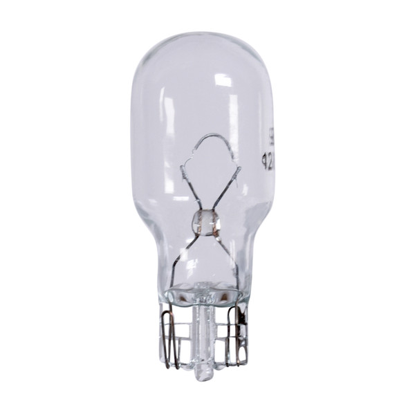 Bulb #906 Bx/10