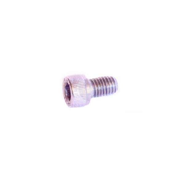 Stainless Steel M6 Socket Head Cap Screw