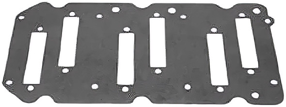 Gasket- REED PLATE (118-0644)