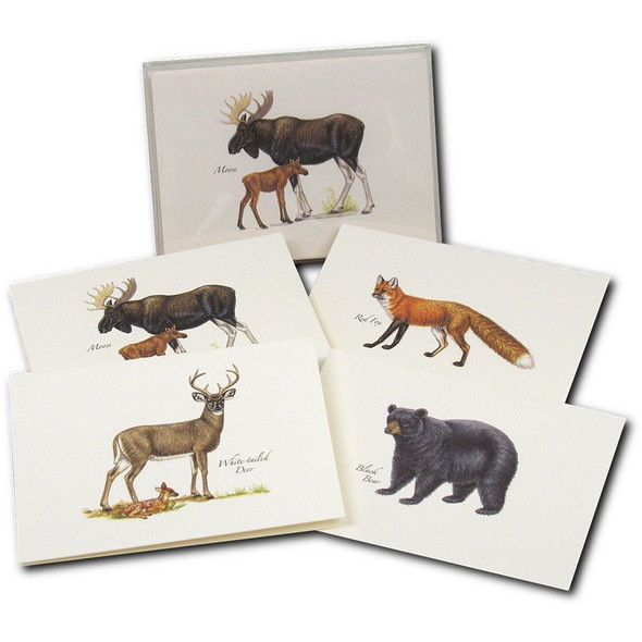 Mammal Notecards