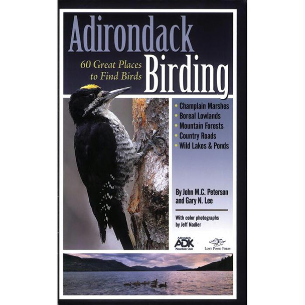 Adirondack Birding