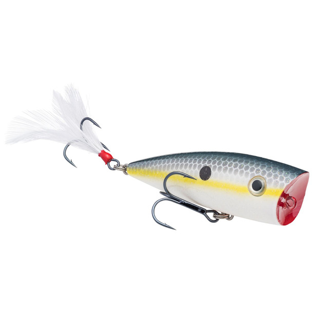 Strike King Kvd Splash Sexy Shad