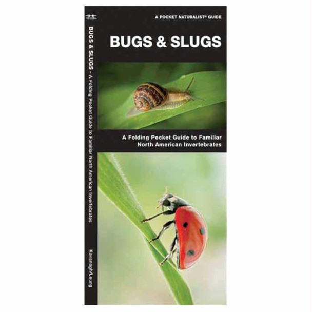 Bugs And Slugs