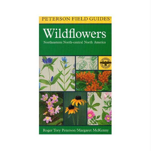 Wildflowers: Ne & Eastern