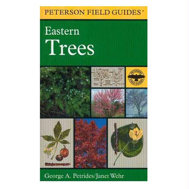 Field Guide To Eastern Trees