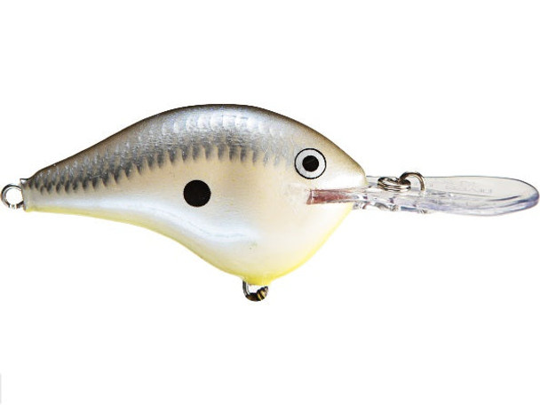 Rapala DT Series 16' Ike-Caribbean Shad