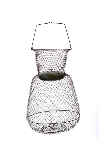 Eagle Claw Fish Basket 14x25 Floating