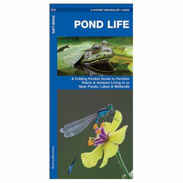 Pond Life