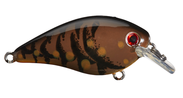 Strike King Kvd Square Bill 1.5 Brown Craw