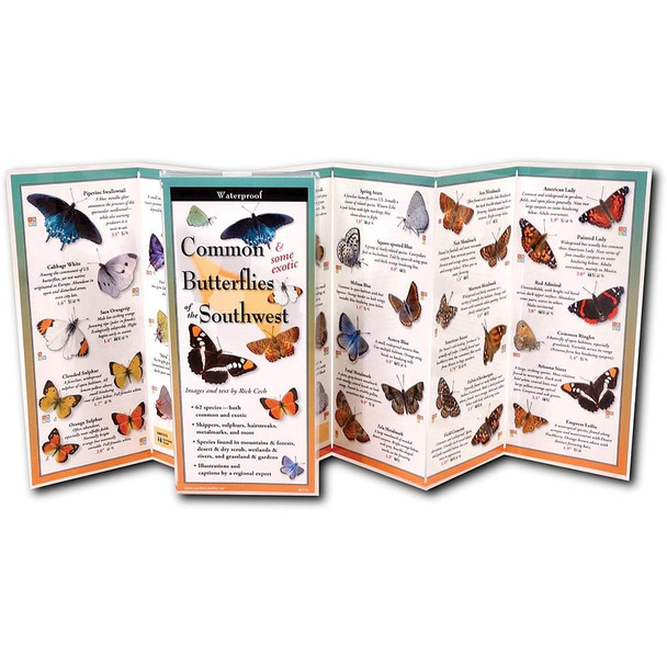 Butterflies Southwest Guide