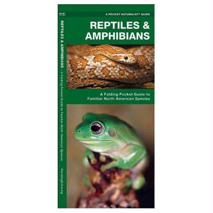 Reptiles/Amphibians, made by Waterford Press -