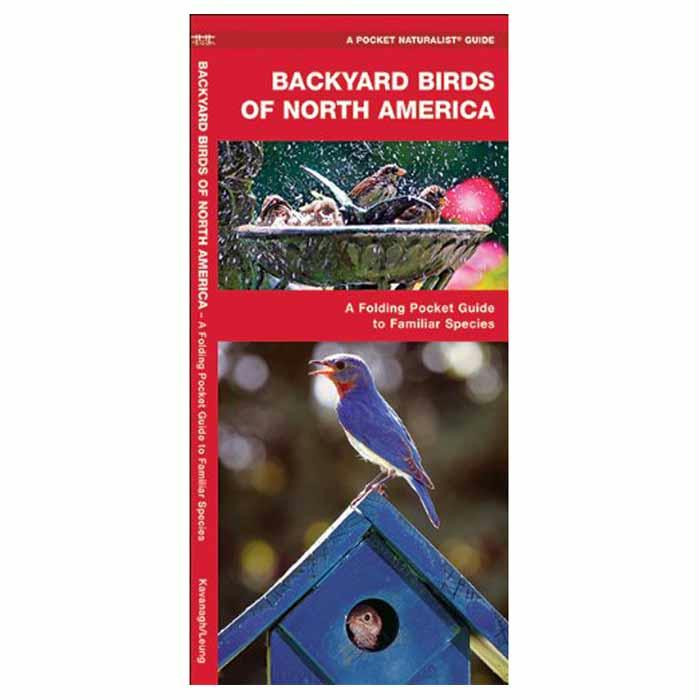 Backyard Birds: Na, made by Waterford Press -