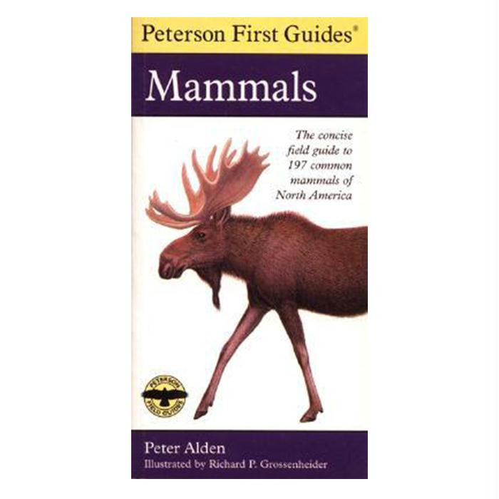 First Guide To Mammals Of N.A., made by HOUGHTON MIFFLIN -