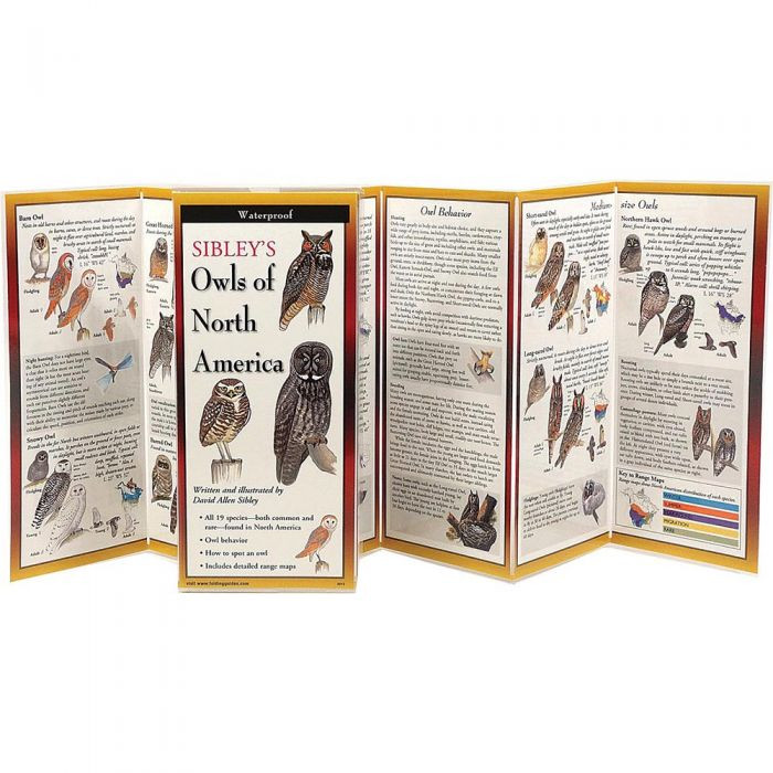 Sibley'S Owls Of North America, made by EARTH SKY+WATER -