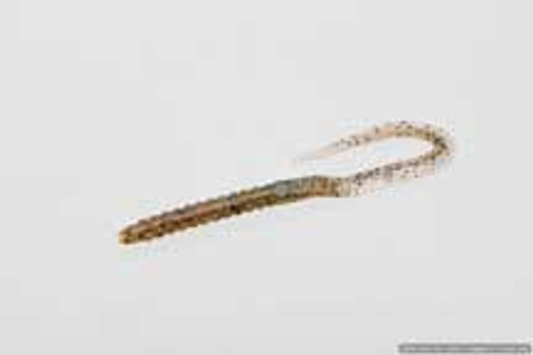 Zoom U-Tail 6" 20/bag Pumpkin, made by Zoom Baits -