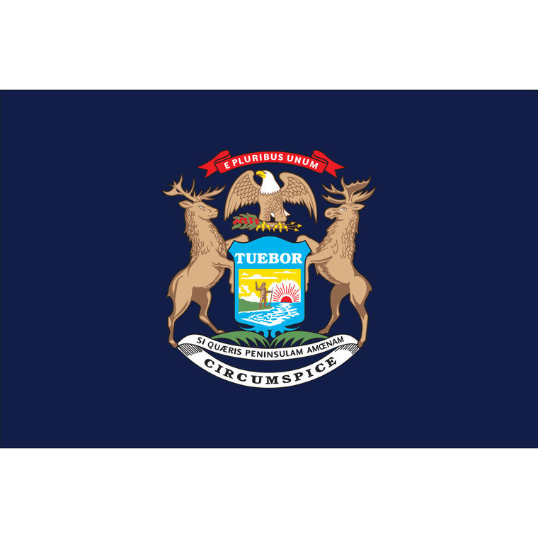 Michigan State Nylon Flag, made by Flagsource -