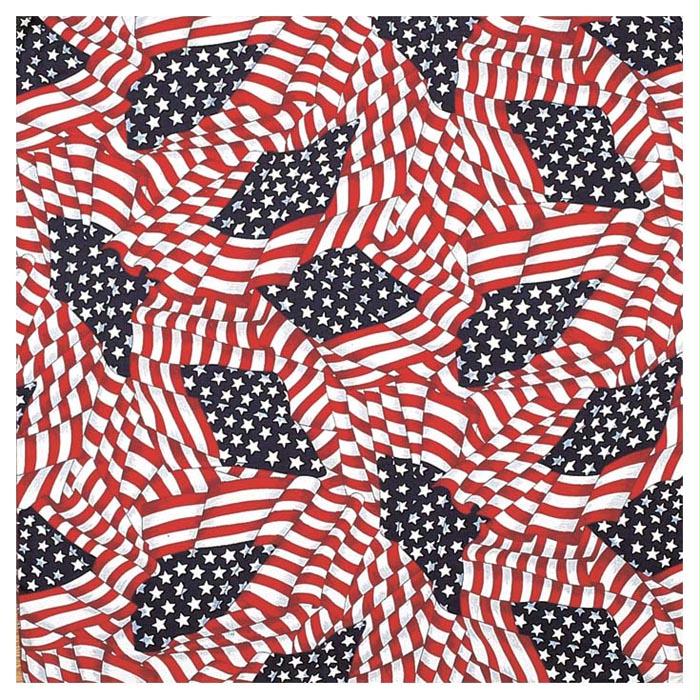 Tossed American Flag, made by CAROLINA MANUF -