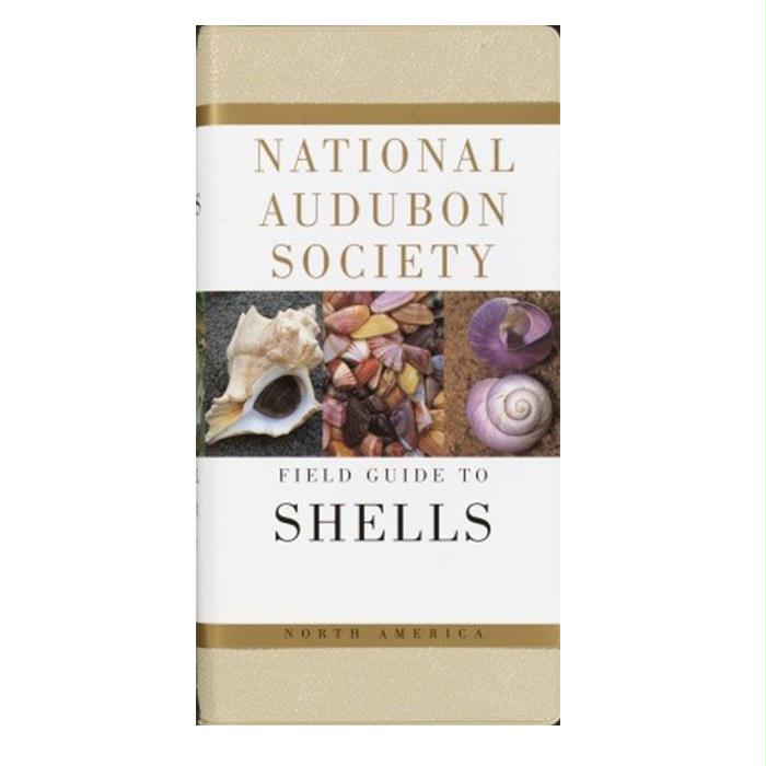 Audbn Fg: Seashells, made by Random House -