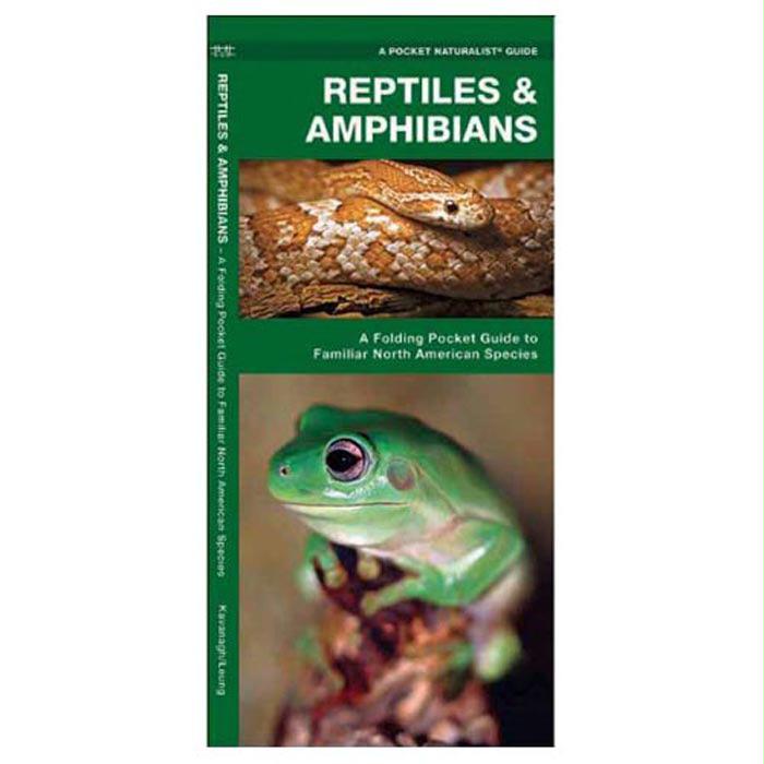 Reptiles/Amphibians, made by Waterford Press -