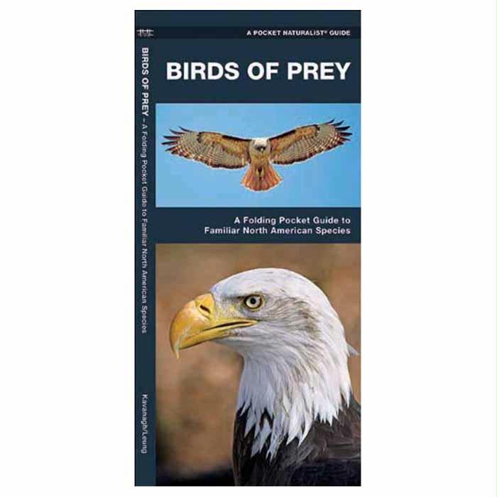 Birds Of Prey, made by Waterford Press - Birds Of Prey, made by Waterford Press -