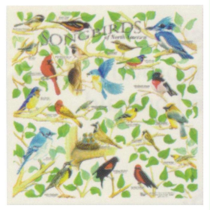 Songbirds Bandana, made by The Printed Image -