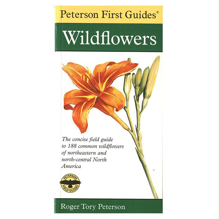 First Guide Wildflowers, made by HOUGHTON MIFFLIN -